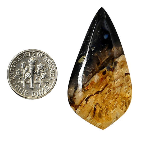 Root Plume Agate 22.8x43.25x5.4 mm Fancy Shape Polished Gemstone LS18-05766