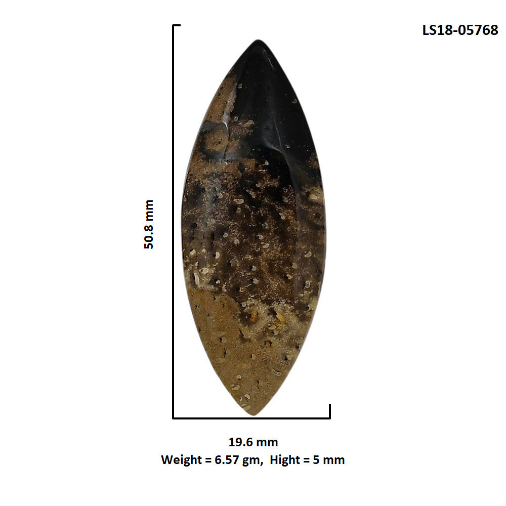 Root Plume Agate 19.6x50.8x5 mm Marquise Shape Polished Gemstone LS18-05768