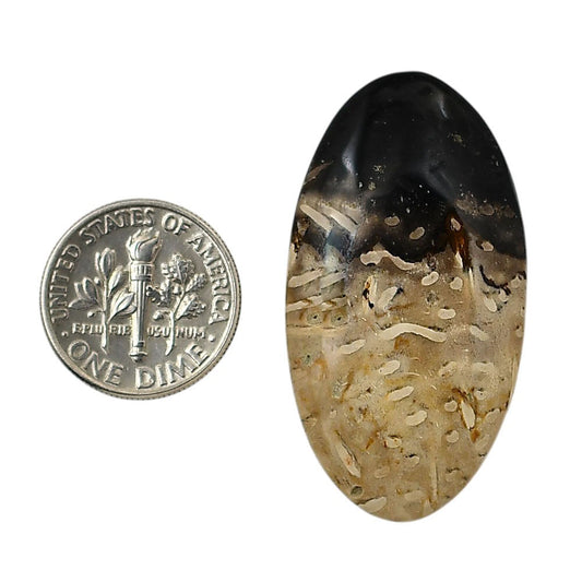 Root Plume Agate 21.4x39.9x5 mm Oval Shape Polished Gemstone LS18-05770