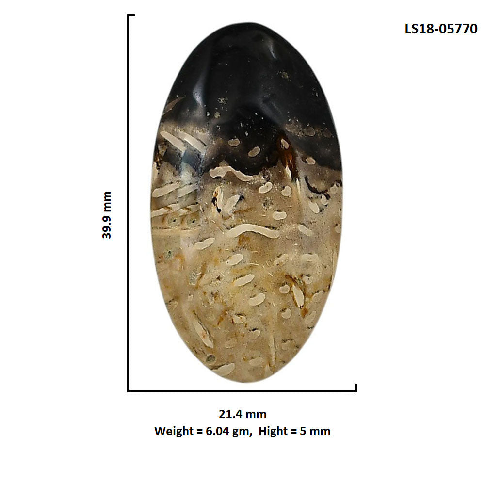Root Plume Agate 21.4x39.9x5 mm Oval Shape Polished Gemstone LS18-05770