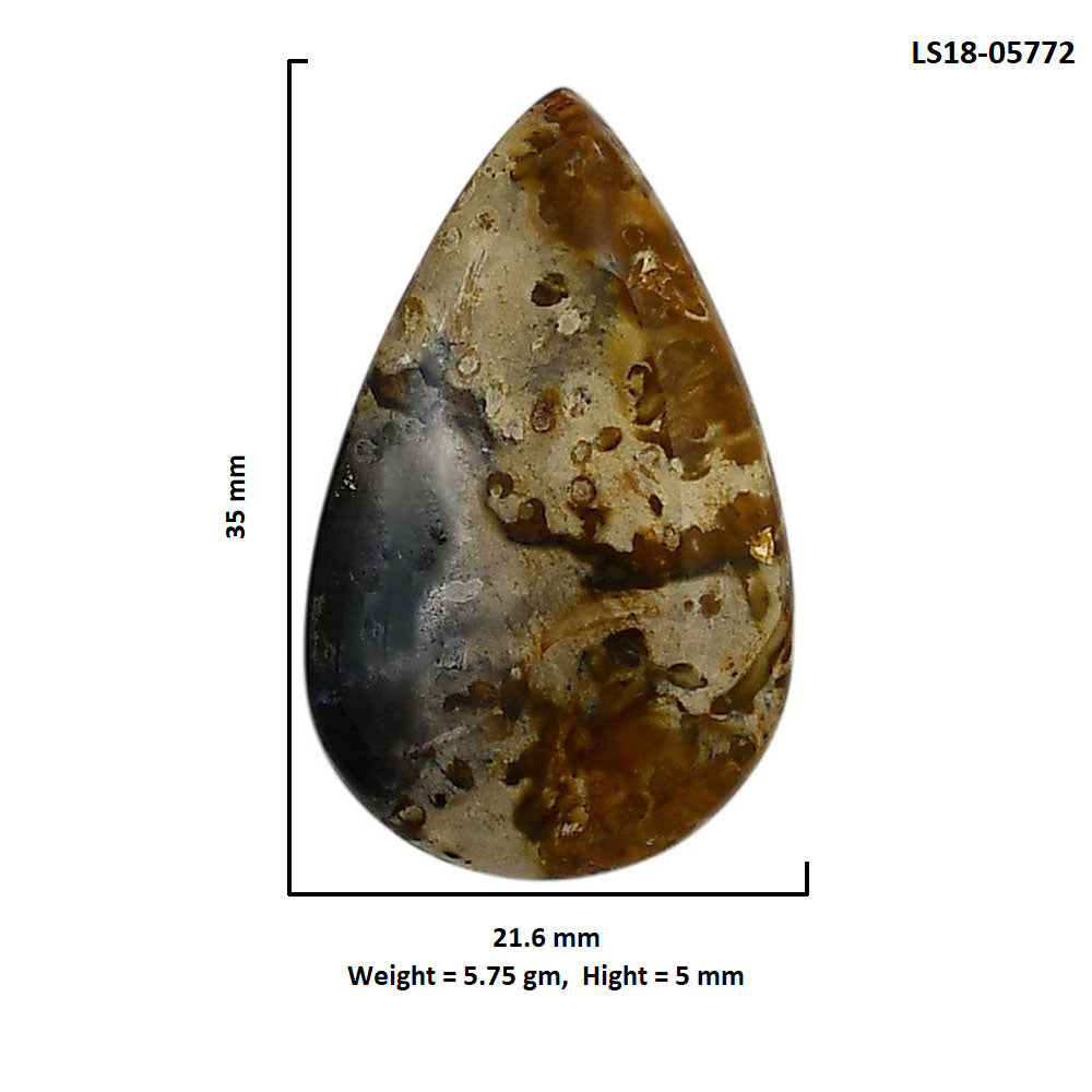 Root Plume Agate 21.6x35x5 mm Pear Shape Polished Gemstone LS18-05772
