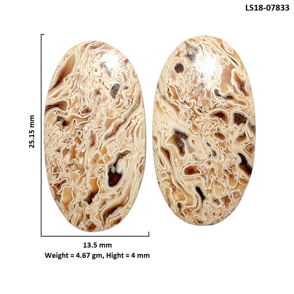 Root Plume Agate Pair 13.5x25.15x4 mm Oval Shape Polished Gemstone LS18-07833