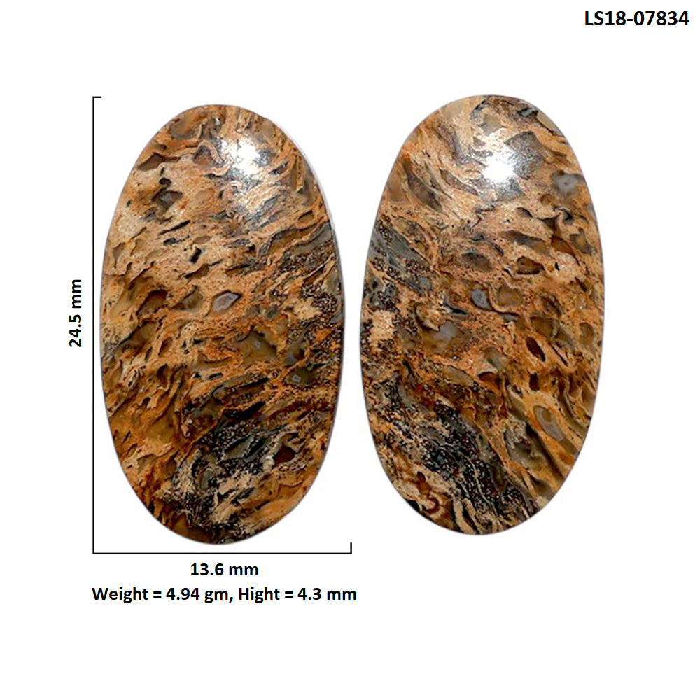 Root Plume Agate Pair 13.6x24.5x4.3 mm Oval Shape Polished Gemstone LS18-07834