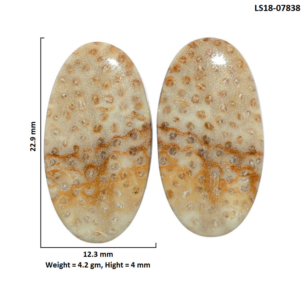 Root Plume Agate Pair 12.3x22.9x4 mm Oval Shape Polished Gemstone LS18-07838
