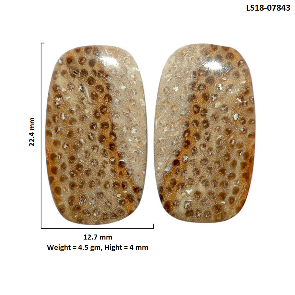 Root Plume Agate Pair 12.7x22.4x4 mm Cushion Shape Polished Gemstone LS18-07843