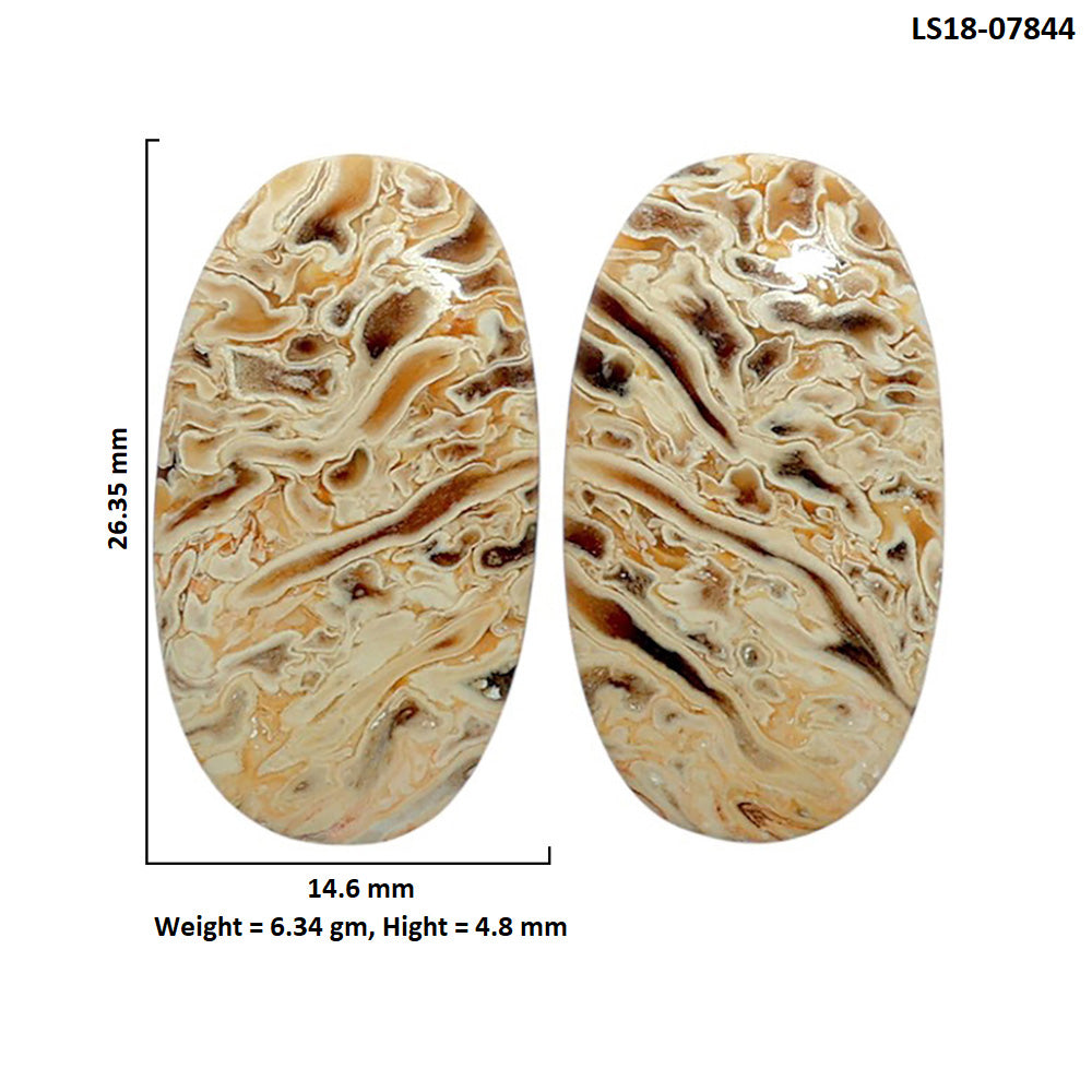 Root Plume Agate Pair 14.6x26.35x4.8 mm Oval Shape Polished Gemstone LS18-07844