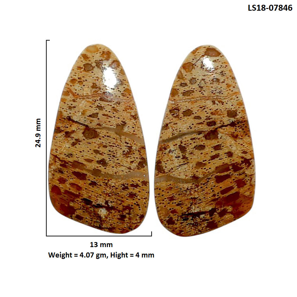 Root Plume Agate Pair 13x24.9x4 mm Fancy Shape Polished Gemstone LS18-07846