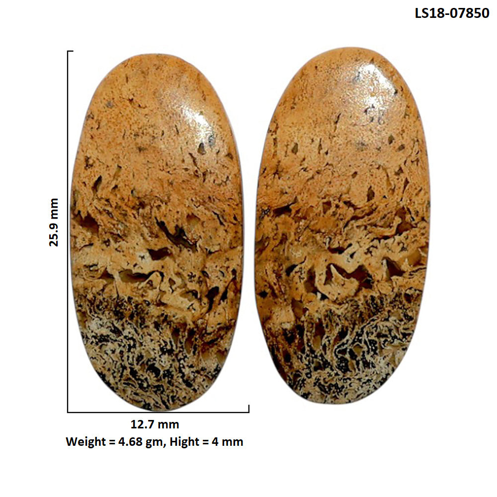 Root Plume Agate Pair 12.7x25.9x4 mm Oval Shape Polished Gemstone LS18-07850