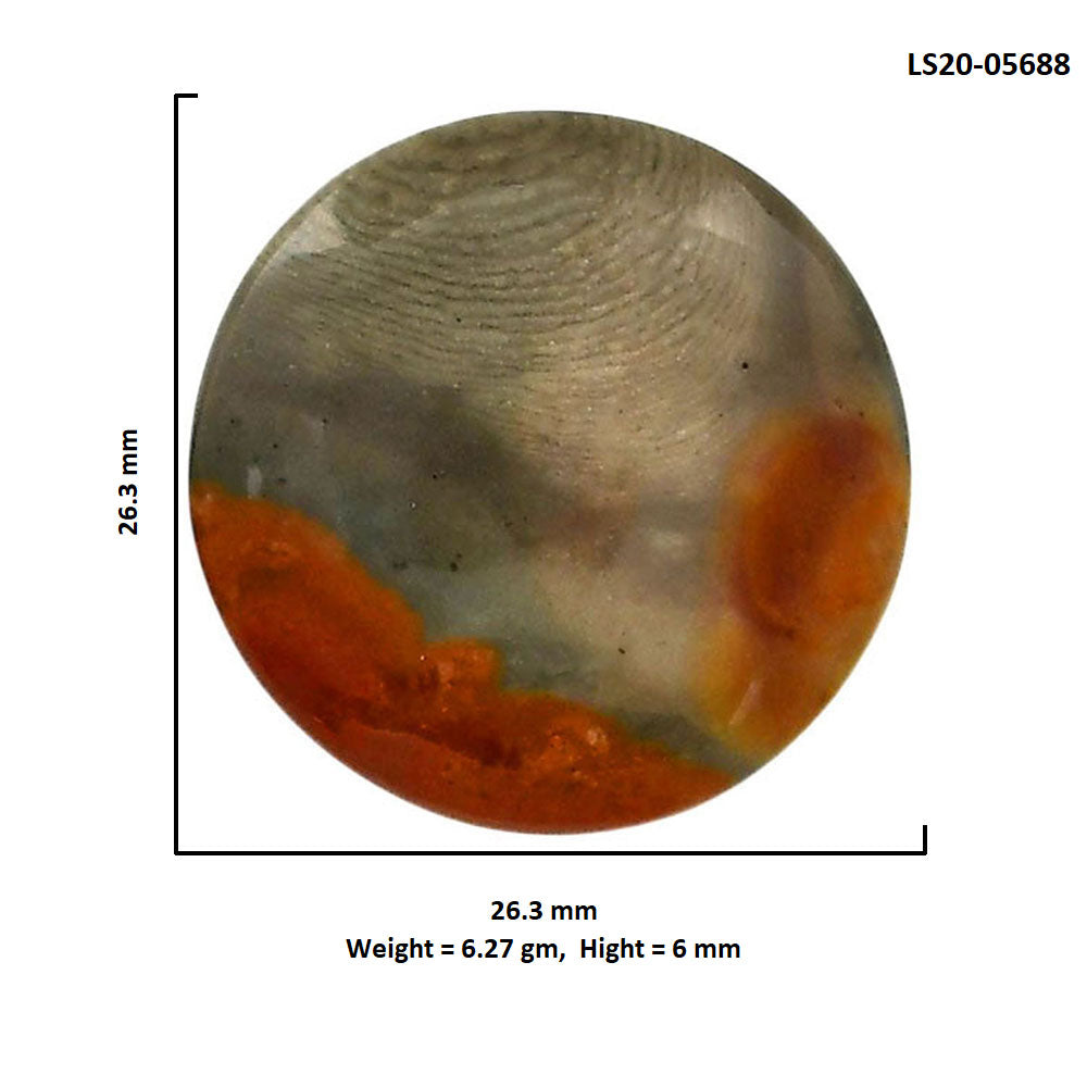 Polygram Jasper 26.3x26.3x6 mm Round Shape Polished Gemstone LS20-05688