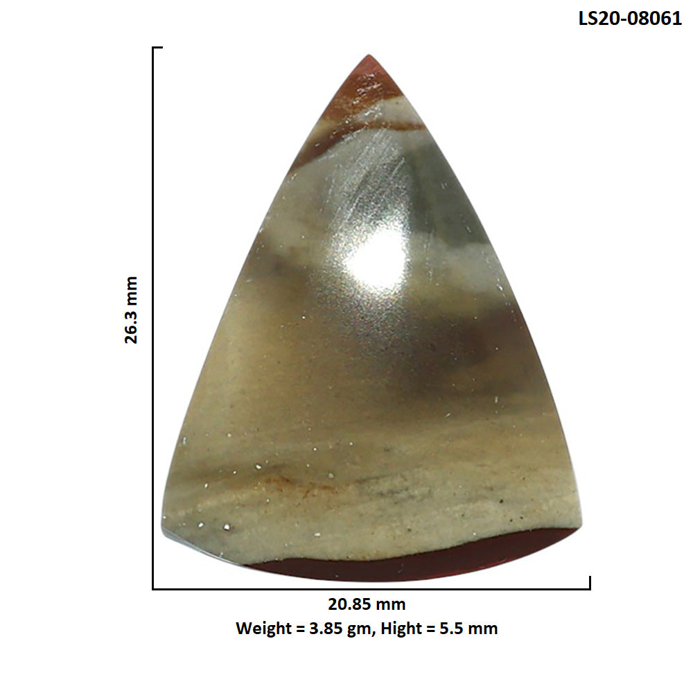 Polygram Jasper 20.85x26.3x5.5 mm Fancy Shape Polished Gemstone LS20-08061