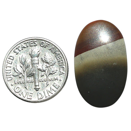 Polygram Jasper 14.2x23.6x3.7 mm Oval Shape Polished Gemstone LS20-08062