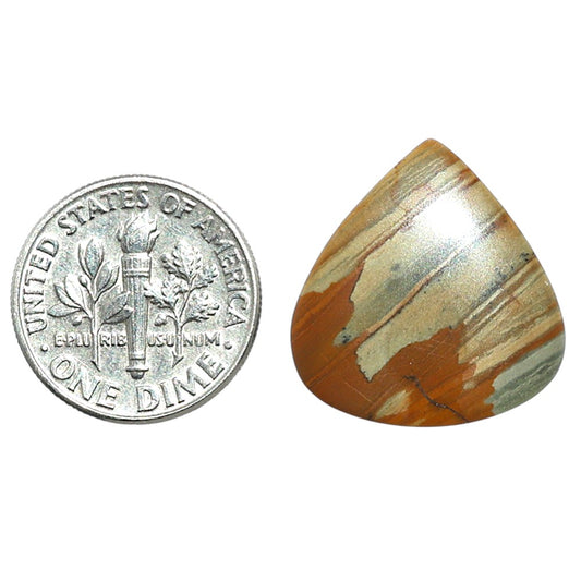 Polygram Jasper 19.5x20.6x4 mm Heart Shape Polished Gemstone LS20-08065