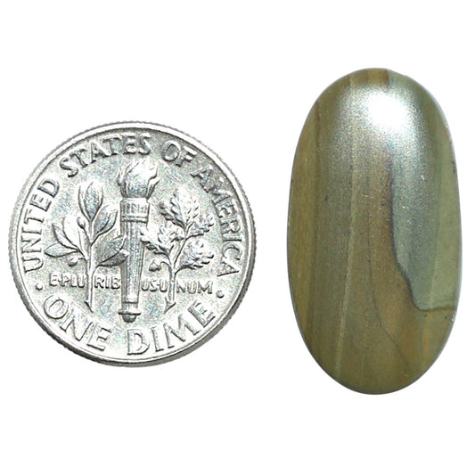 Polygram Jasper 12.6x23.6x3.5 mm Oval Shape Polished Gemstone LS20-08071