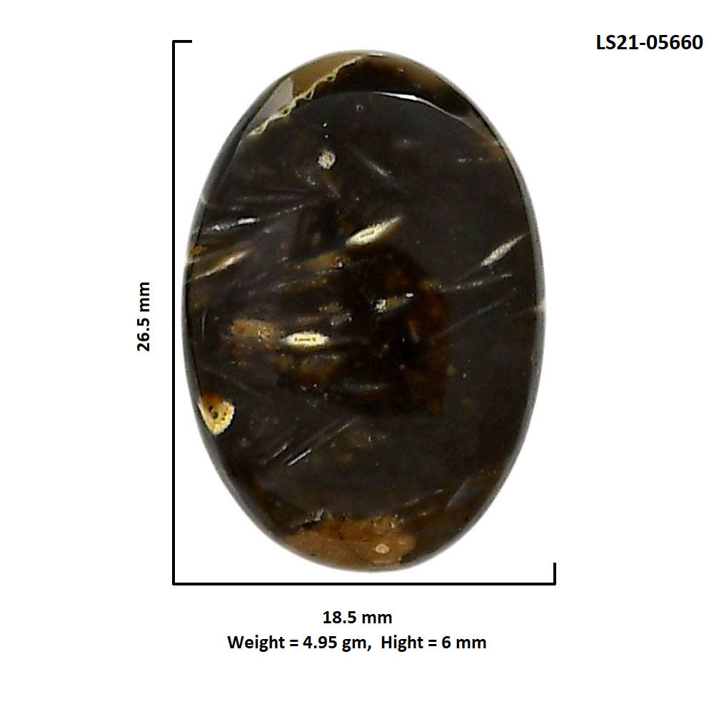 Bat Cave Jasper 18.5x26.5x6 mm Oval Shape Polished Gemstone LS21-05660