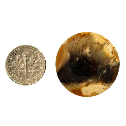 Bat Cave Jasper 28x28x6.3 mm Round Shape Polished Gemstone LS21-05665