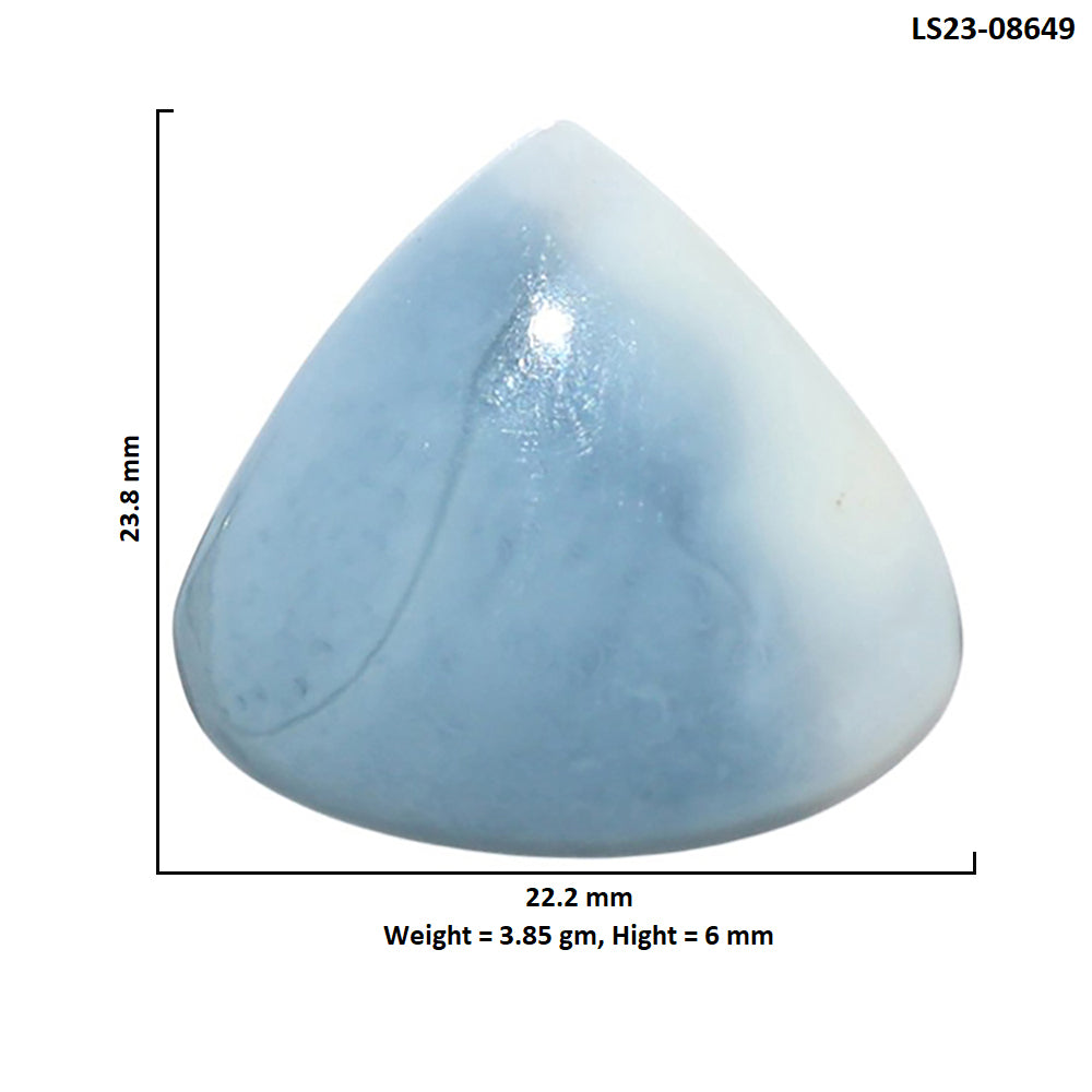 Owyhee Opal 22.2x23.8x6 mm Heart Shape Polished Gemstone LS23-08649