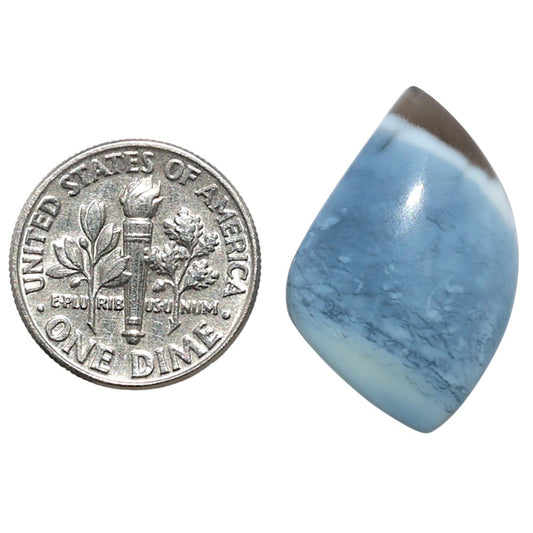 Owyhee Opal 15.9x24.5x5.8 mm Fancy Shape Polished Gemstone LS23-08655