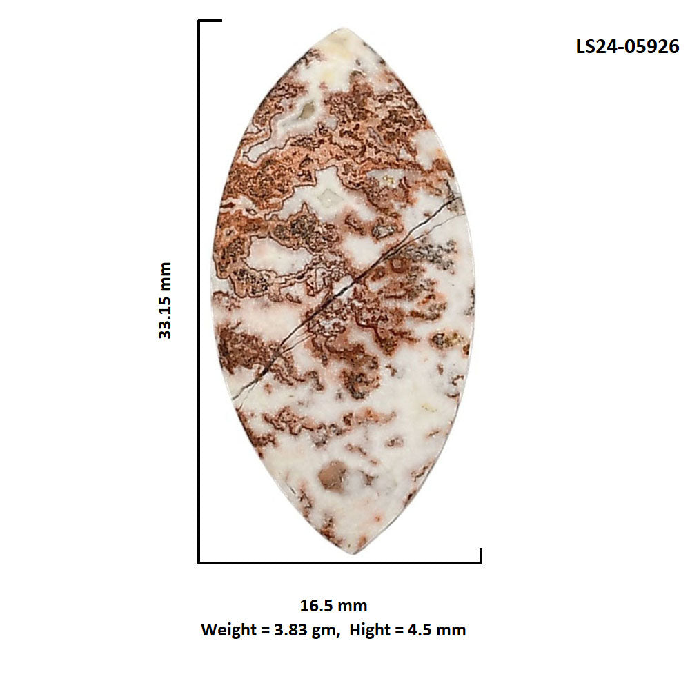 Rosetta Picture Jasper 16.5x33.15x4.5 mm Marquise Shape Polished Gemstone LS24-05926