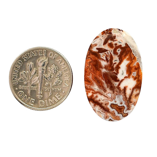 Rosetta Picture Jasper 16x25.8x5 mm Oval Shape Polished Gemstone LS24-05927