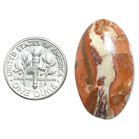 Rosetta Picture Jasper 17x28.25x4.8 mm Oval Shape Polished Gemstone LS24-08107