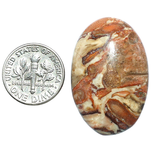 Rosetta Picture Jasper 22.25x33.6x6.5 mm Oval Shape Polished Gemstone LS24-08110