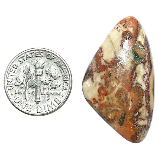 Rosetta Picture Jasper 19x33.2x5.5 mm Fancy Shape Polished Gemstone LS24-08113