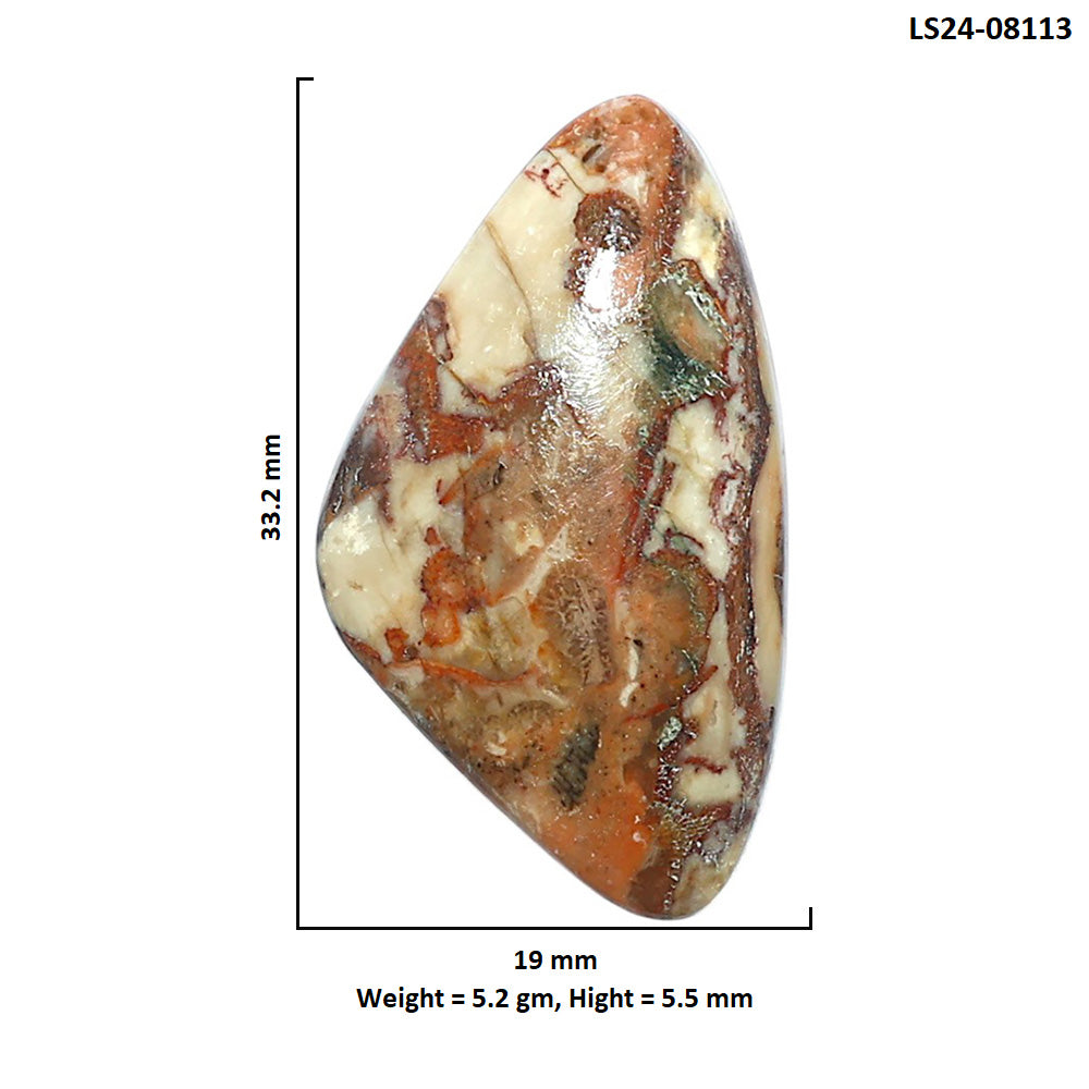 Rosetta Picture Jasper 19x33.2x5.5 mm Fancy Shape Polished Gemstone LS24-08113