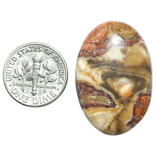 Rosetta Picture Jasper 21.25x31.6x6 mm Oval Shape Polished Gemstone LS24-08115