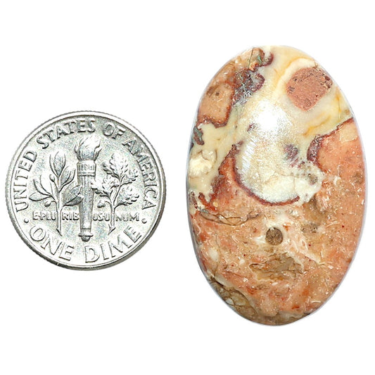 Rosetta Picture Jasper 20.2x31.4x5 mm Oval Shape Polished Gemstone LS24-08120