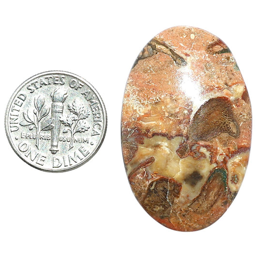 Rosetta Picture Jasper 22.9x35.7x6 mm Oval Shape Polished Gemstone LS24-08128