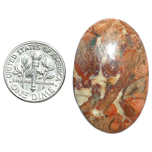 Rosetta Picture Jasper 22x33.3x5.8 mm Oval Shape Polished Gemstone LS24-08130