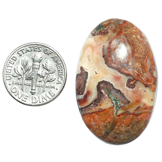 Rosetta Picture Jasper 23x35.3x7 mm Oval Shape Polished Gemstone LS24-08131