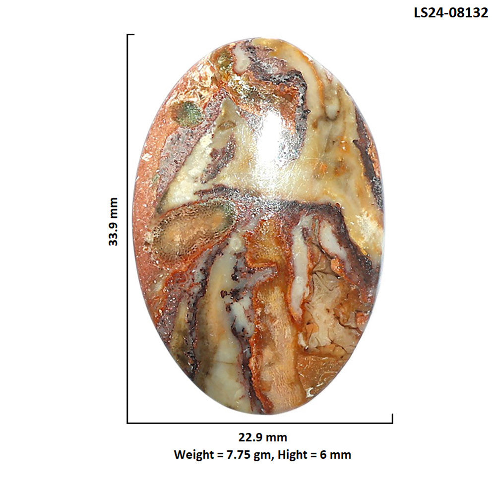 Rosetta Picture Jasper 22.9x33.9x6 mm Oval Shape Polished Gemstone LS24-08132