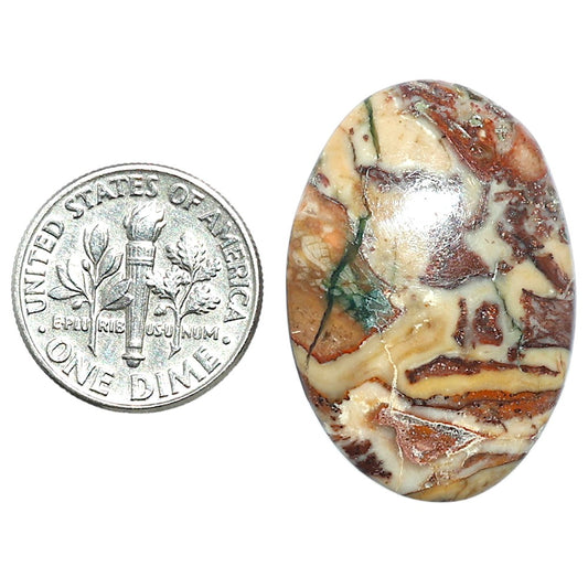 Rosetta Picture Jasper 20.7x30x6 mm Oval Shape Polished Gemstone LS24-08133