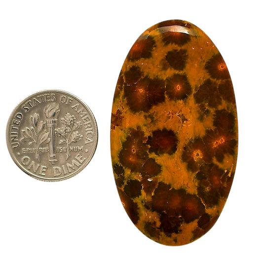 Ocean Jasper 24.6x43.55x6 mm Oval Shape Polished Gemstone LS27-05559