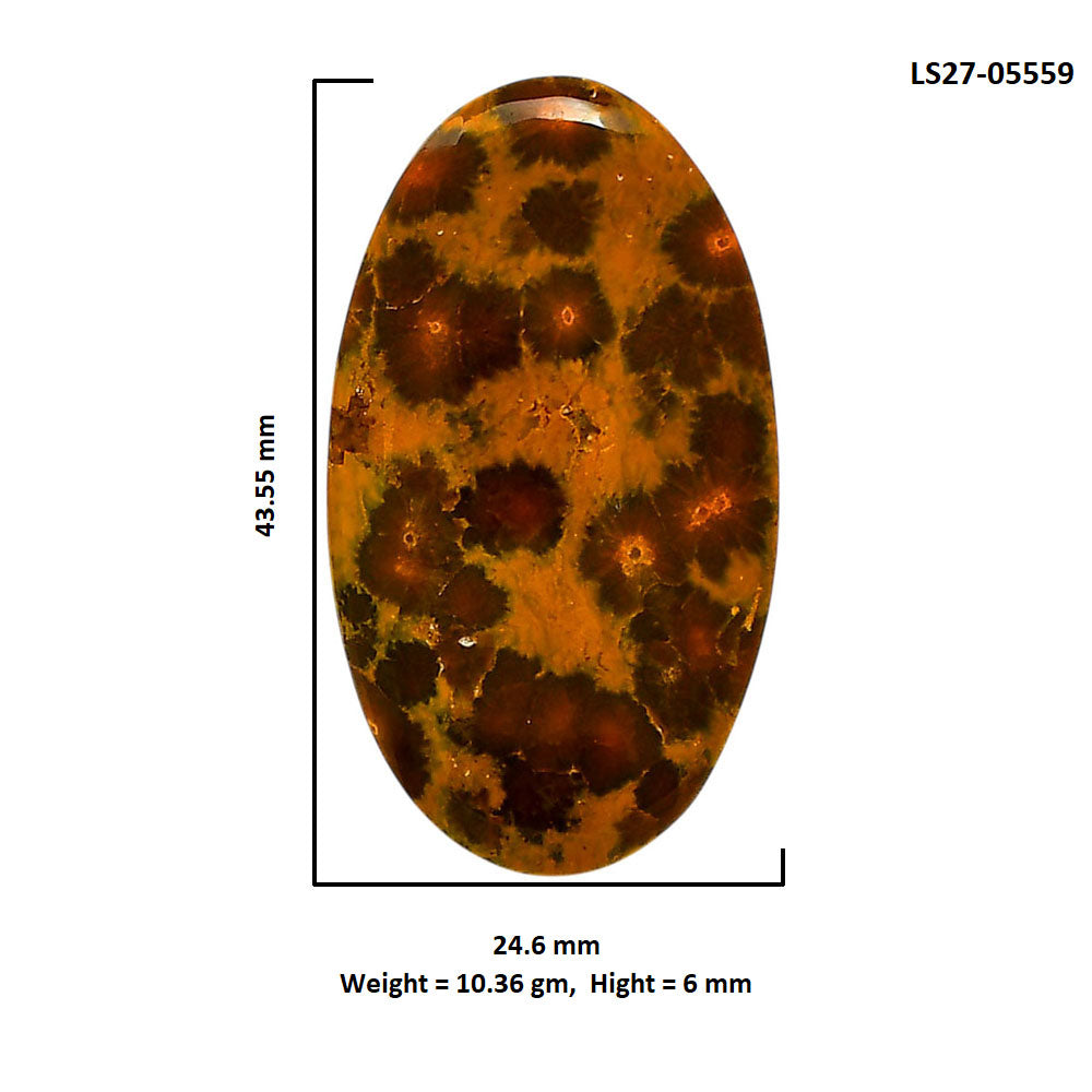 Ocean Jasper 24.6x43.55x6 mm Oval Shape Polished Gemstone LS27-05559