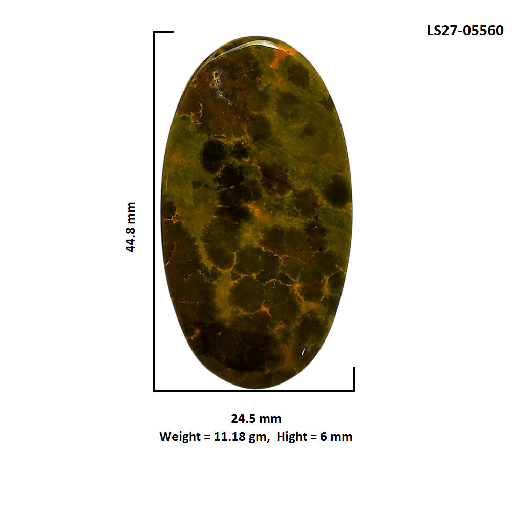 Ocean Jasper 24.5x44.8x6 mm Oval Shape Polished Gemstone LS27-05560