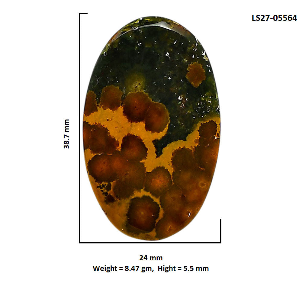 Ocean Jasper 24x38.7x5.5 mm Oval Shape Polished Gemstone LS27-05564