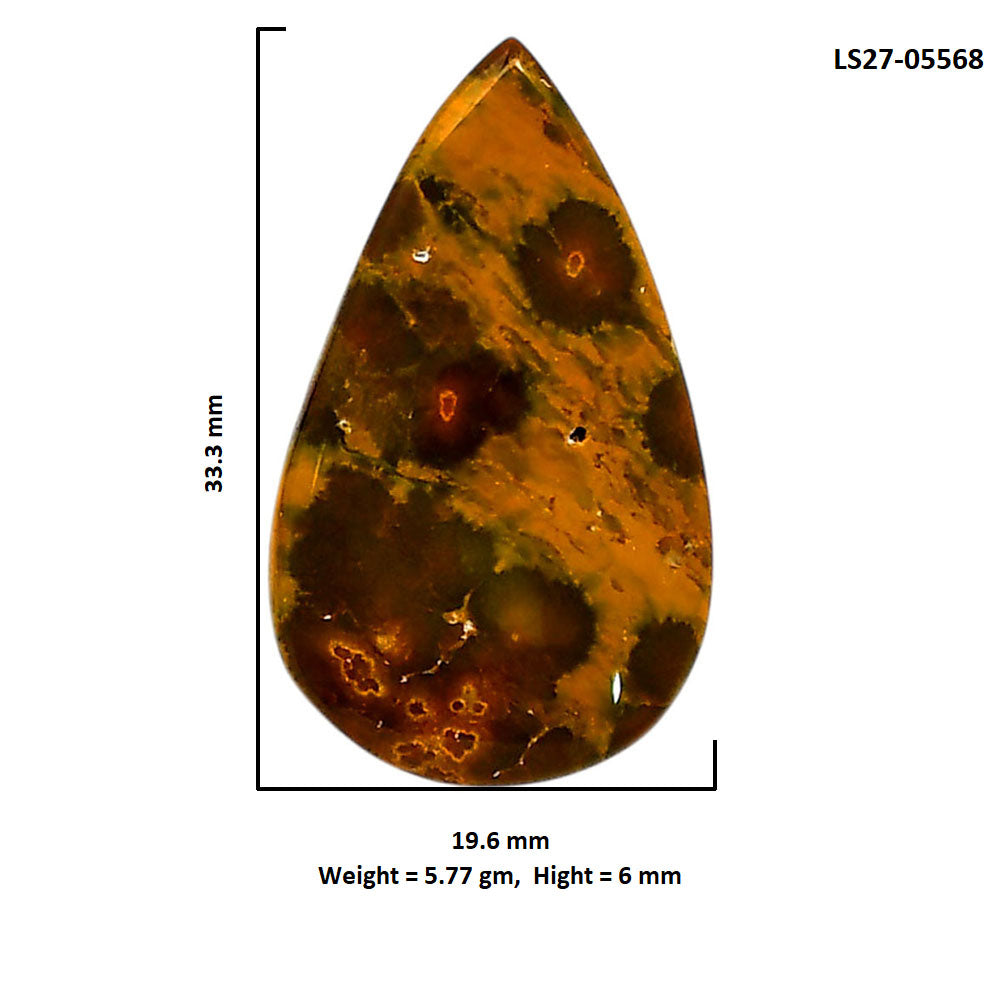 Ocean Jasper 19.6x33.3x6 mm Pear Shape Polished Gemstone LS27-05568