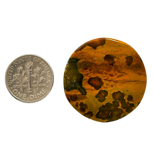 Ocean Jasper 30.5x30.5x5 mm Round Shape Polished Gemstone LS27-05571