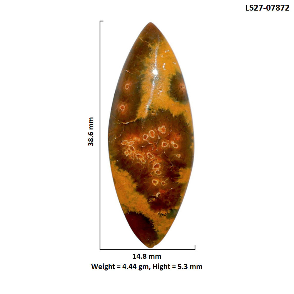 Ocean Jasper 14.8x38.6x5.3 mm Marquise Shape Polished Gemstone LS27-07872