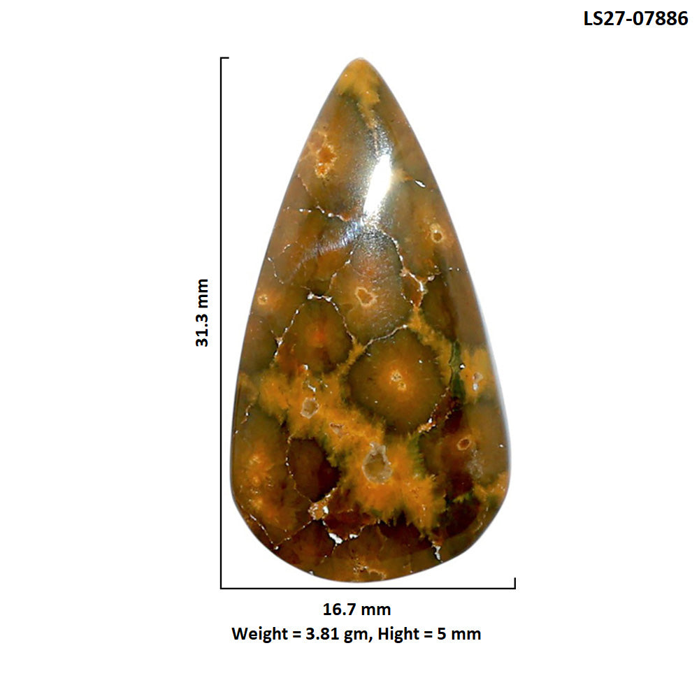 Ocean Jasper 16.7x31.3x5 mm Pear Shape Polished Gemstone LS27-07886