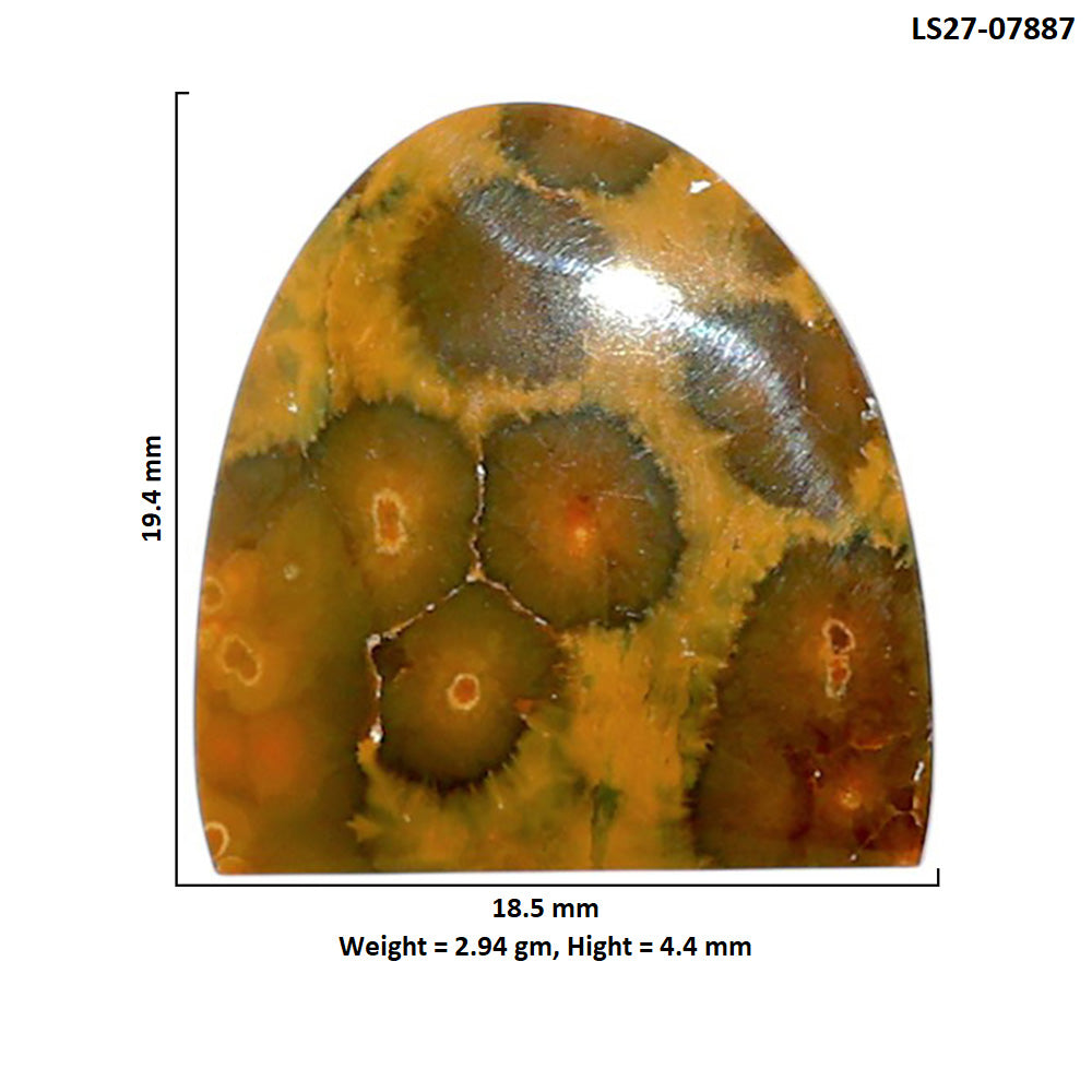 Ocean Jasper 18.5x19.4x4.4 mm Fancy Shape Polished Gemstone LS27-07887
