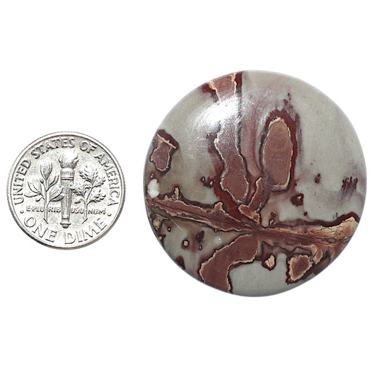 Coffee Bean Jasper 34x34x5 mm Round Shape Polished Gemstone LS28-08212