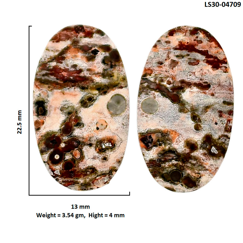 Leopard Skin Jasper Pair 13x22.5x4 mm Oval Shape Polished Gemstone LS30-04709