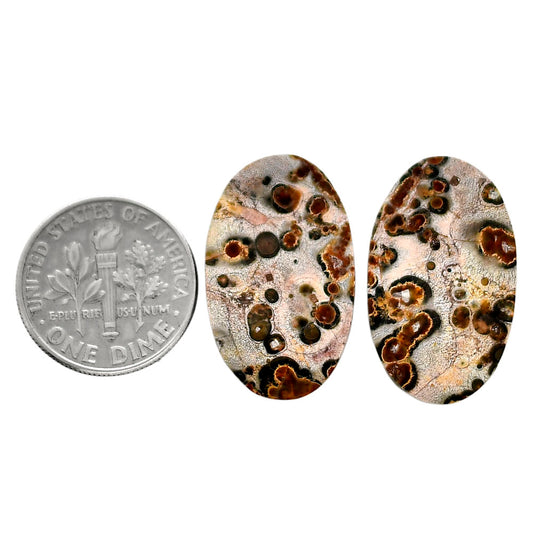 Leopard Skin Jasper Pair 14.6x24.2x4 mm Oval Shape Polished Gemstone LS30-04710