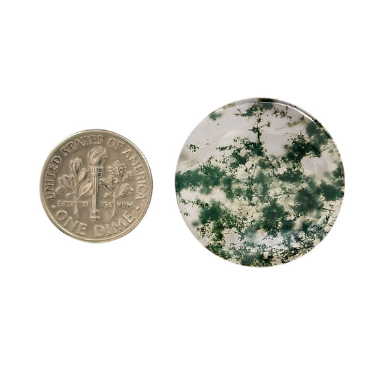 Green Moss Agate 27.5x27.5x4 mm Round Shape Polished Gemstone LS31-05952