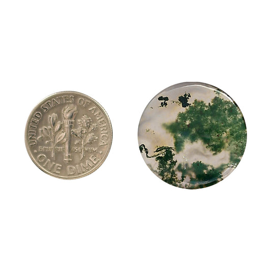 Green Moss Agate 21.8x21.8x4 mm Round Shape Polished Gemstone LS31-05954