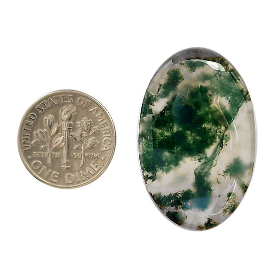 Green Moss Agate 20x31.2x5 mm Round Shape Polished Gemstone LS31-05960