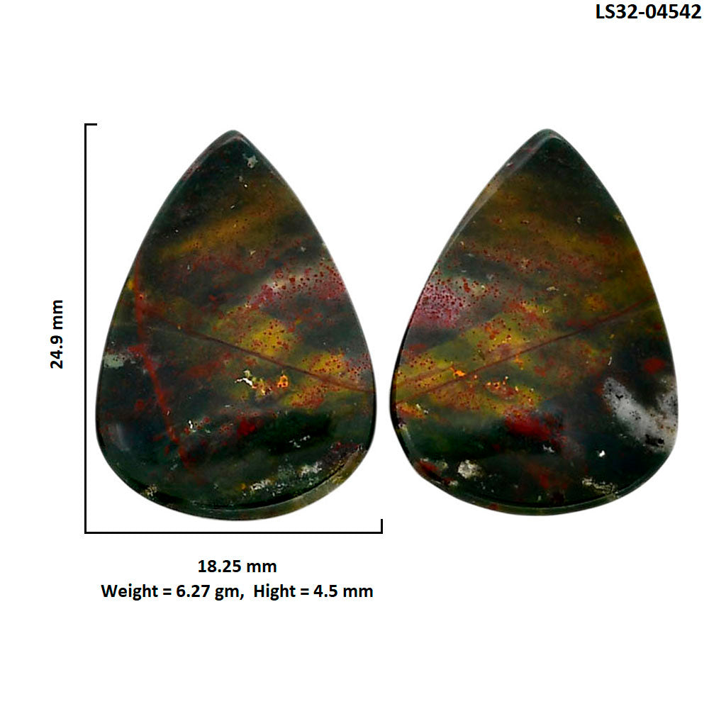 Blood Stone Pair 18.25x24.9x4.5 mm Pear Shape Polished Gemstone LS32-04542
